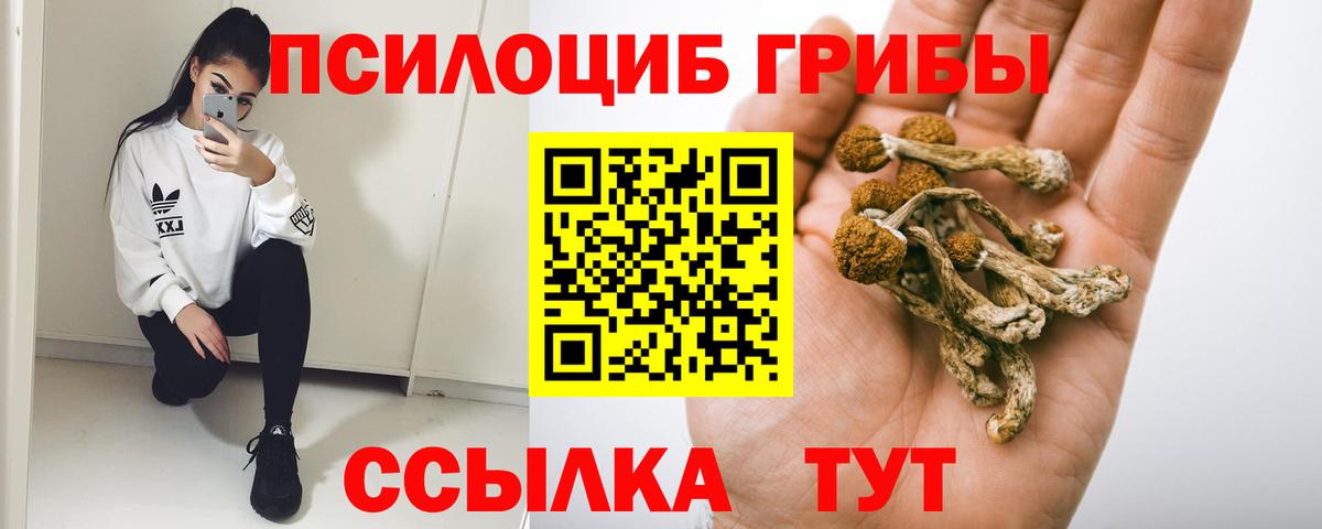 Галлюциногенные грибы Psilocybine cubensis  Вход с VPN  Сыктывкар 